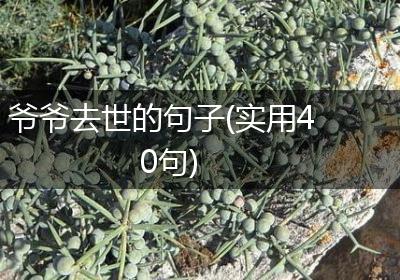 爷爷去世的句子(实用40句)