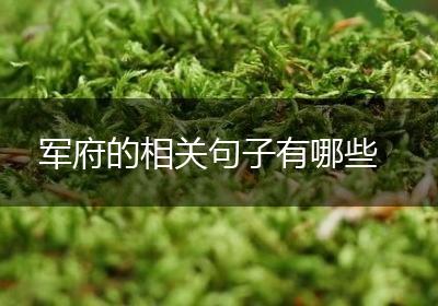军府的相关句子有哪些