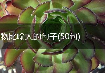 物比喻人的句子(50句)