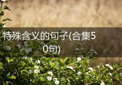特殊含义的句子(合集50句)