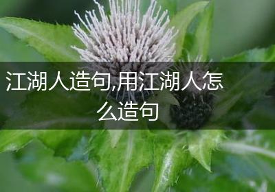 江湖人造句,用江湖人怎么造句