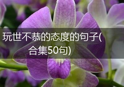 玩世不恭的态度的句子(合集50句)