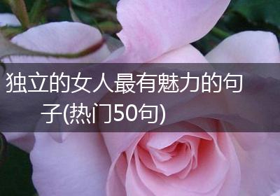 独立的女人最有魅力的句子(热门50句)