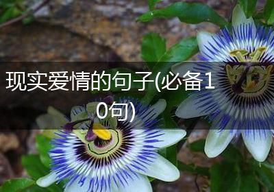 现实爱情的句子(必备10句)