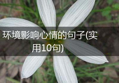 环境影响心情的句子(实用10句)