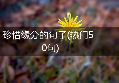 珍惜缘分的句子(热门50句)