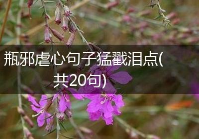 瓶邪虐心句子猛戳泪点(共20句)