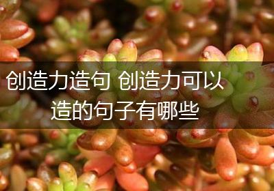 创造力造句 创造力可以造的句子有哪些