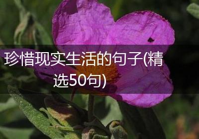 珍惜现实生活的句子(精选50句)