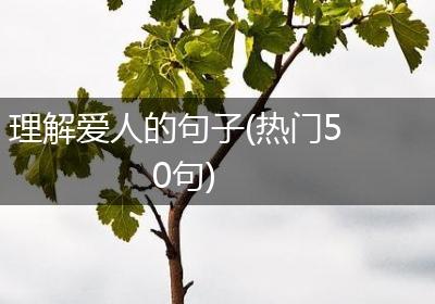 理解爱人的句子(热门50句)