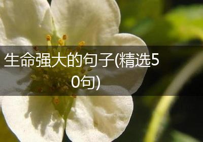 生命强大的句子(精选50句)