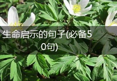 生命启示的句子(必备50句)
