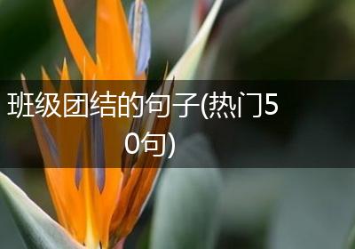 班级团结的句子(热门50句)