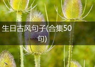 生日古风句子(合集50句)