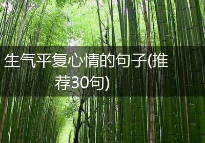 生气平复心情的句子(推荐30句)
