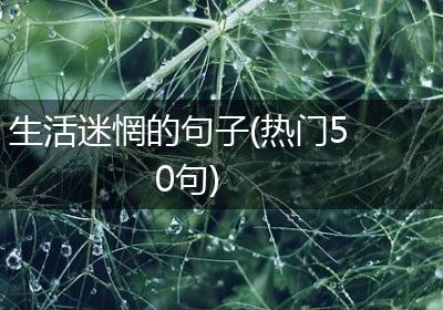 生活迷惘的句子(热门50句)