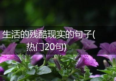 生活的残酷现实的句子(热门20句)