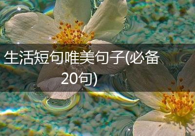 生活短句唯美句子(必备20句)