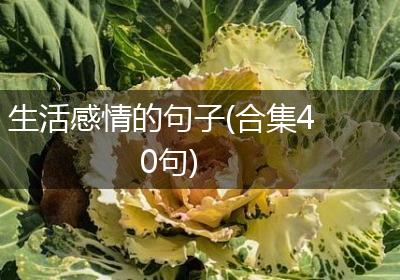 生活感情的句子(合集40句)