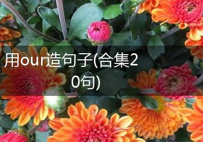 用our造句子(合集20句)