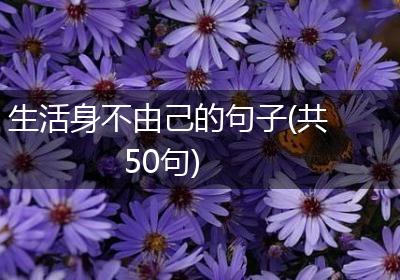 生活身不由己的句子(共50句)