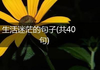 生活迷茫的句子(共40句)
