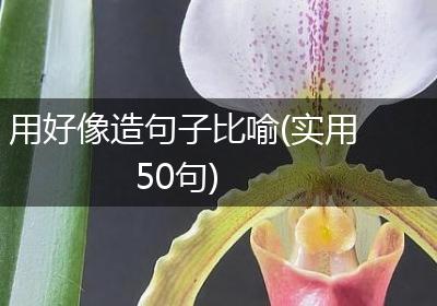 用好像造句子比喻(实用50句)