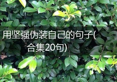 用坚强伪装自己的句子(合集20句)