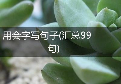 用会字写句子(汇总99句)
