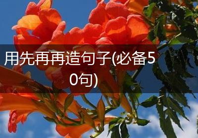 用先再再造句子(必备50句)