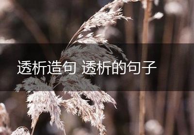 透析造句 透析的句子