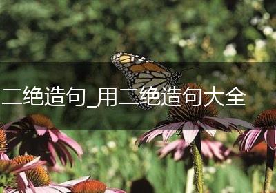 二绝造句_用二绝造句大全