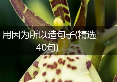 用因为所以造句子(精选40句)