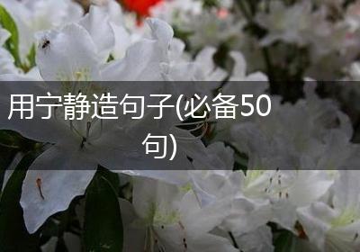 用宁静造句子(必备50句)