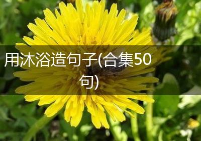 用沐浴造句子(合集50句)