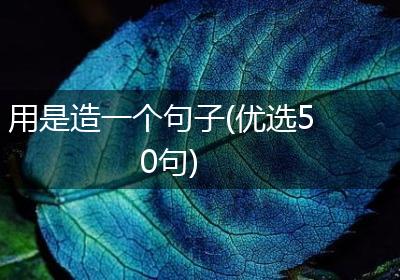 用是造一个句子(优选50句)