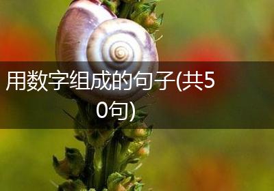 用数字组成的句子(共50句)