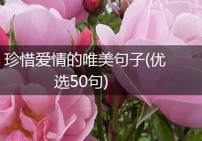 珍惜爱情的唯美句子(优选50句)