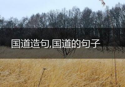 国道造句,国道的句子