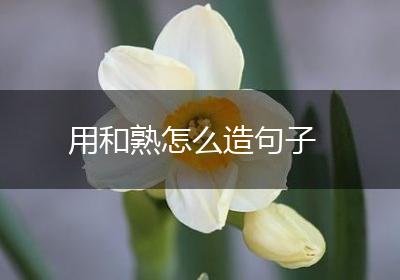 用和熟怎么造句子