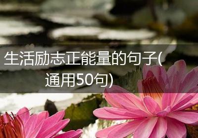 生活励志正能量的句子(通用50句)