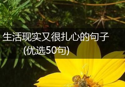 生活现实又很扎心的句子(优选50句)