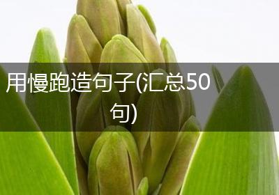 用慢跑造句子(汇总50句)