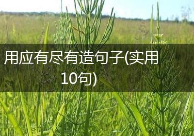 用应有尽有造句子(实用10句)