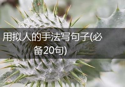 用拟人的手法写句子(必备20句)
