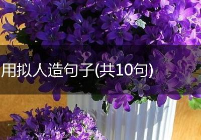 用拟人造句子(共10句)