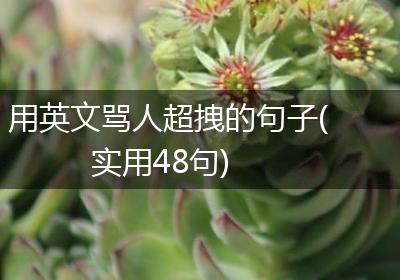 用英文骂人超拽的句子(实用48句)