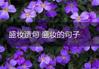 盛妆造句 盛妆的句子