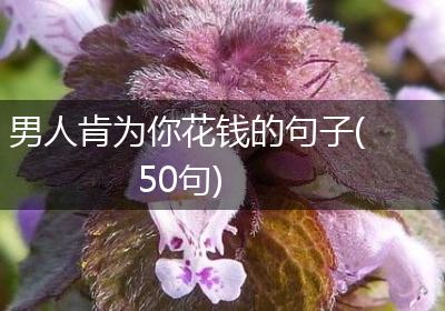 男人肯为你花钱的句子(50句)