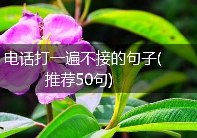 电话打一遍不接的句子(推荐50句)